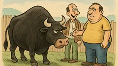 Виц: „Еха, направо си като бик!“